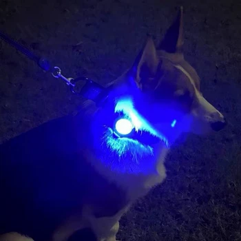 Pet Noči LED Noč Varnost Ogrlica Prostem Hojo Anti-izgubil Navigacijska Luč Obesek, Visoko Svetlost za Psa, ki Potujejo na Prostem